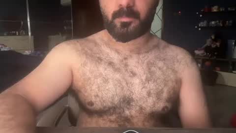 Hairyarab88 online show from December 16, 2024, 9:35 am