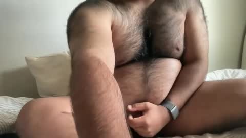 hairyaussie00 online show from December 4, 2024, 3:04 am