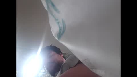 hairyfatboy01 online show from June 11, 2026, 8:45 am