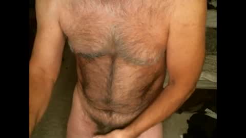 Snapshot of hairypecsguy chatting on February 11, 2026, 7:24 am Hairy pecs online show from February 11, 2026, 7:24 am