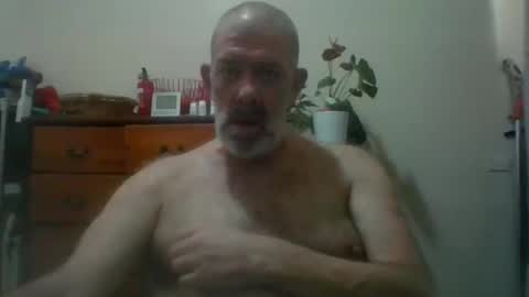 Snapshot of hairypigsyd chatting on November 14, 2025, 3:27 am HairyPigSyd online show from November 14, 2025, 3:27 am
