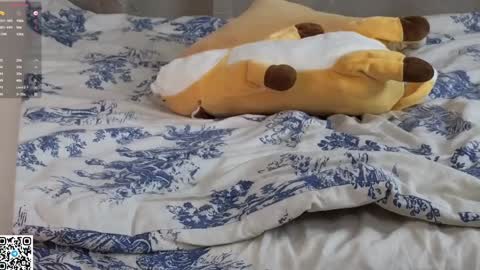 Snapshot of halie_cross chatting on January 31, 2025, 6:02 am Nellie online show from January 31, 2025, 6:02 am