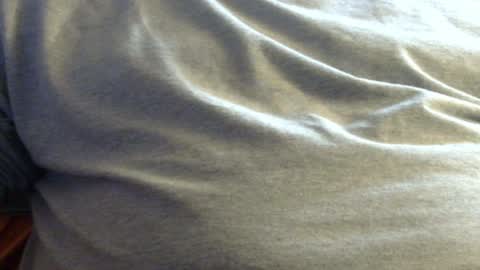 Snapshot of hamhead71 chatting on January 28, 2025, 2:42 pm hamhead71 online show from January 28, 2025, 2:42 pm