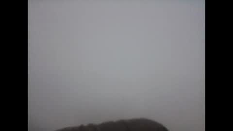 hammer9217 online show from September 8, 2025, 6:07 pm