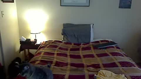 hammerthatthang73 online show from March 20, 2026, 10:14 pm