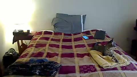 hammerthatthang73 online show from March 23, 2026, 9:30 pm