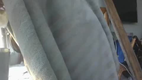 handncocknocum online show from January 16, 2026, 9:02 am