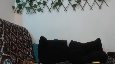 Snapshot of hannafalls chatting on January 12, 2025, 4:00 am SARA online show from January 12, 2025, 4:00 am