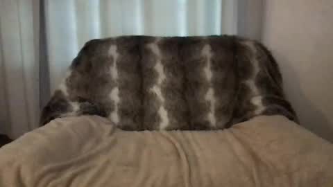 Snapshot of hannahsometimes694u chatting on March 28, 2026, 8:14 am hannahsometimes694u online show from March 28, 2026, 8:14 am