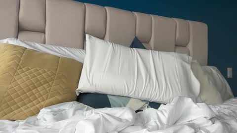 Snapshot of hanzlagerfelt chatting on November 4, 2025, 8:52 pm hanzlagerfelt online show from November 4, 2025, 8:52 pm