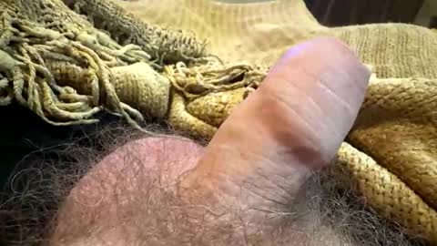 Snapshot of happygerman68 chatting on September 14, 2025, 11:59 pm happygerman68 online show from September 14, 2025, 11:59 pm