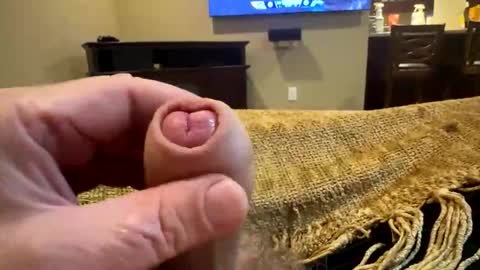 Snapshot of happygerman68 chatting on October 24, 2025, 12:30 am happygerman68 online show from October 24, 2025, 12:30 am