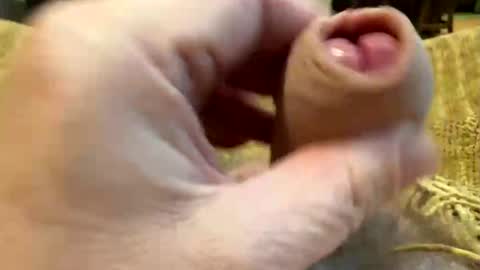 Snapshot of happygerman68 chatting on October 27, 2025, 9:30 pm happygerman68 online show from October 27, 2025, 9:30 pm