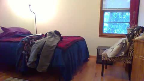 Hardy-Har online show from December 1, 2025, 10:26 pm