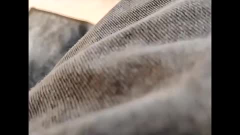 hardandhorny422 online show from October 30, 2025, 11:55 am