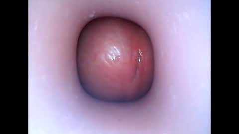 hardhammerboy online show from January 6, 2025, 6:31 pm