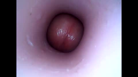 hardhammerboy online show from January 8, 2025, 9:12 pm