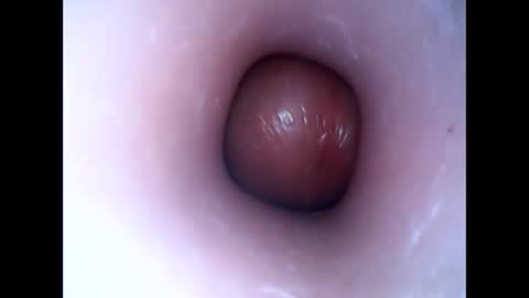 hardhammerboy online show from January 16, 2025, 8:03 pm