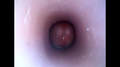 hardhammerboy online show from January 19, 2025, 8:19 pm