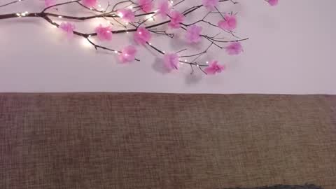 Snapshot of haru_blossom chatting on January 6, 2025, 5:06 pm online show from January 6, 2025, 5:06 pm