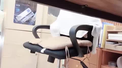 harvey_04 online show from May 7, 2026, 10:31 am