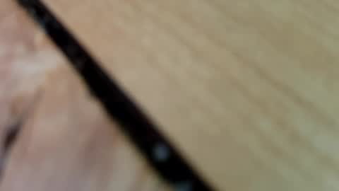 Snapshot of hdhdufu chatting on November 17, 2025, 3:07 pm hdhdufu online show from November 17, 2025, 3:07 pm