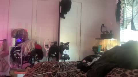 Bunnie Rotz online show from November 25, 2025, 6:19 pm