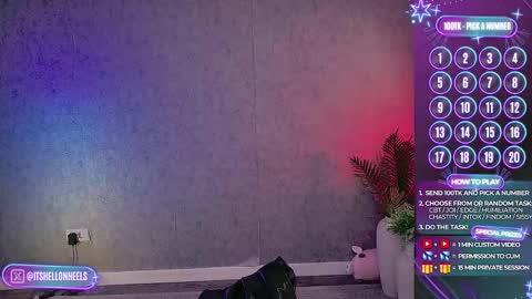 - show loyalty and subscribe -  online show from November 17, 2025, 11:43 pm