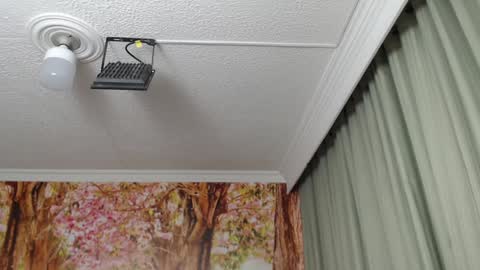 Hellen online show from January 23, 2025, 9:07 pm