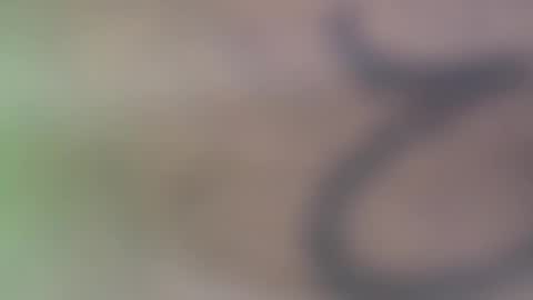 hellohowareyou66 online show from November 29, 2025, 6:11 pm