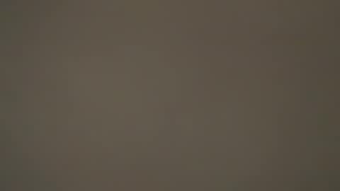 hellohowareyou66 online show from March 31, 2026, 6:19 pm