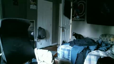 Snapshot of hellothereimcoolyo chatting on April 10, 2026, 11:48 am longhairbeardedguy online show from April 10, 2026, 11:48 am