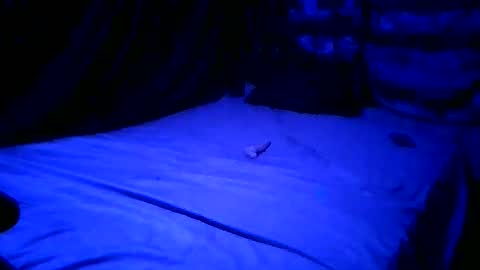 SissyNutsBustedCounter online show from April 23, 2026, 8:02 am