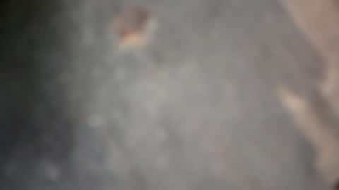 herletigre12345 online show from October 18, 2025, 5:32 am