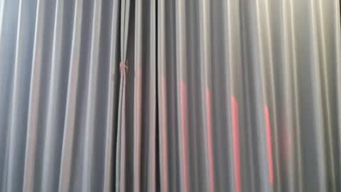 Aran online show from December 3, 2025, 8:00 am