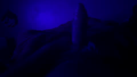 Snapshot of hextor70 chatting on March 22, 2026, 5:33 am hextor70 online show from March 22, 2026, 5:33 am