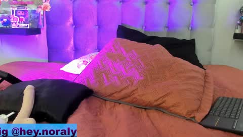 Snapshot of hey_noraly chatting on December 20, 2024, 5:08 pm Noraly online show from December 20, 2024, 5:08 pm