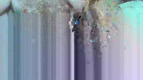 Snapshot of hi_to_you chatting on June 3, 2026, 8:17 am hi_to_you online show from June 3, 2026, 8:17 am