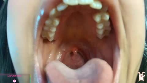 hinata online show from April 16, 2026, 9:15 pm