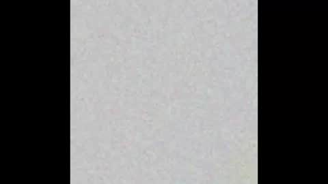 hisbadhabit40 online show from December 2, 2025, 4:40 am