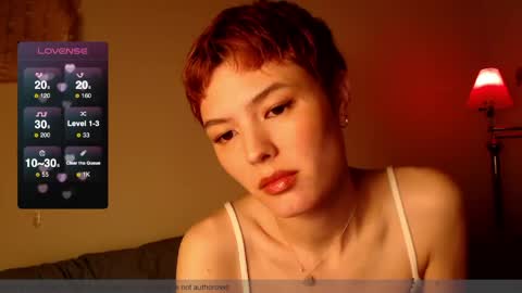 Snapshot of hivivi chatting on April 13, 2026, 2:17 am Vivi online show from April 13, 2026, 2:17 am