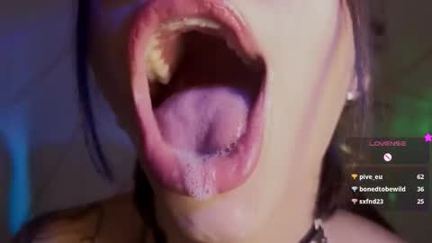 Snapshot of hollyxx_ chatting on February 3, 2026, 5:40 pm holly online show from February 3, 2026, 5:40 pm