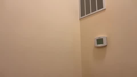 honey_man14 online show from February 26, 2026, 5:56 pm