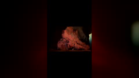 Snapshot of hoodiehoe chatting on March 3, 2026, 6:41 am hoodiehoe online show from March 3, 2026, 6:41 am