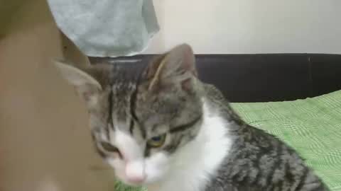 Serena online show from November 8, 2025, 6:24 am