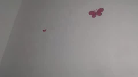 Iris online show from October 15, 2025, 12:55 am