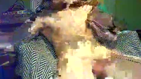 hornycocxxx online show from March 9, 2025, 1:14 am