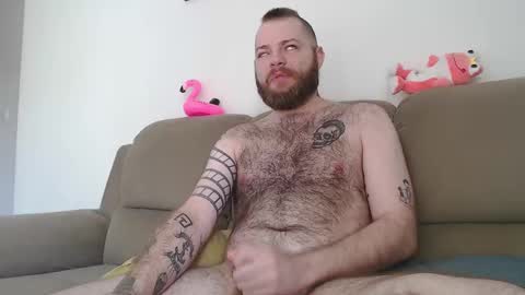 Snapshot of hornyhairy_bi chatting on March 5, 2025, 5:50 pm Harry online show from March 5, 2025, 5:50 pm
