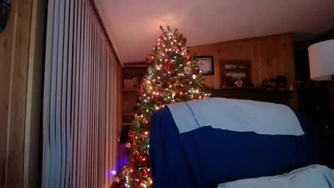 horsebigballs online show from January 19, 2025, 5:15 am