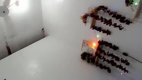    online show from February 23, 2025, 1:32 pm